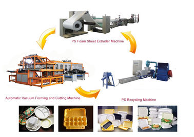 Disposable Clamshell Take-out PS Foam Food Containers Making Machine