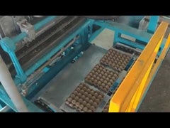 2000pcs/h egg tray production line